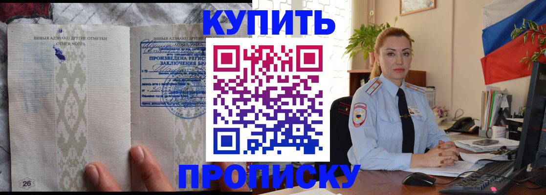 прописка поиск в Камышине